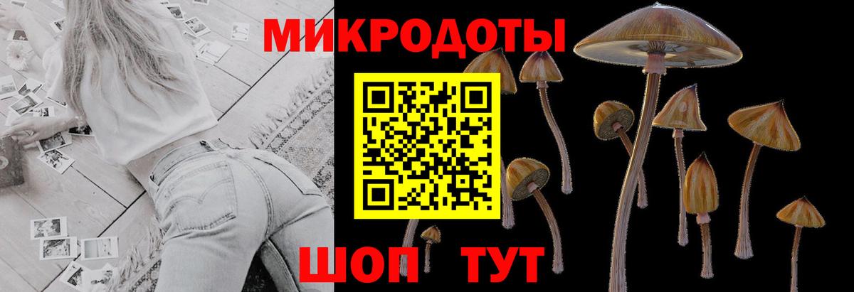 Псилоцибиновые грибы ЛСД  Вход с VPN  Коряжма  Псилоцибиновые грибы ЛСД 