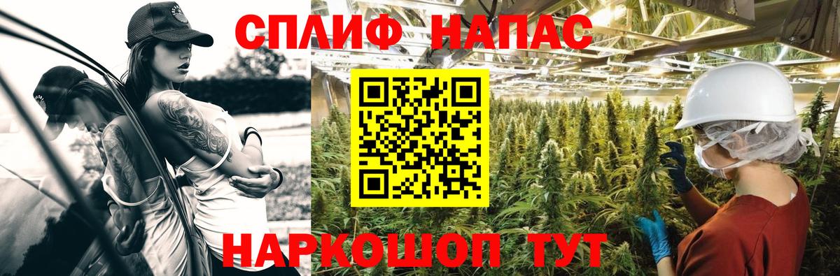 МАРИХУАНА планчик  Вход с VPN  МАРИХУАНА индика  Шишки марихуана THC 21%  Коряжма  Шишки марихуана THC 21% 